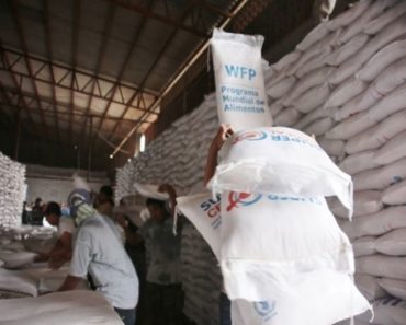 blockchain programa mundial alimentos
