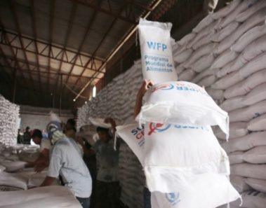 blockchain programa mundial alimentos